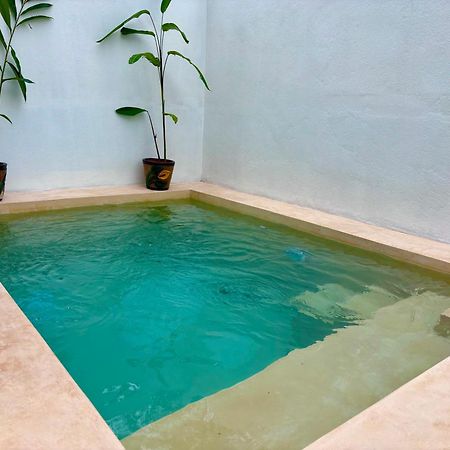 Excelente Alberca Privada En Residencial Privado, Gym, Asador Villa Ciudad Valles Eksteriør bilde