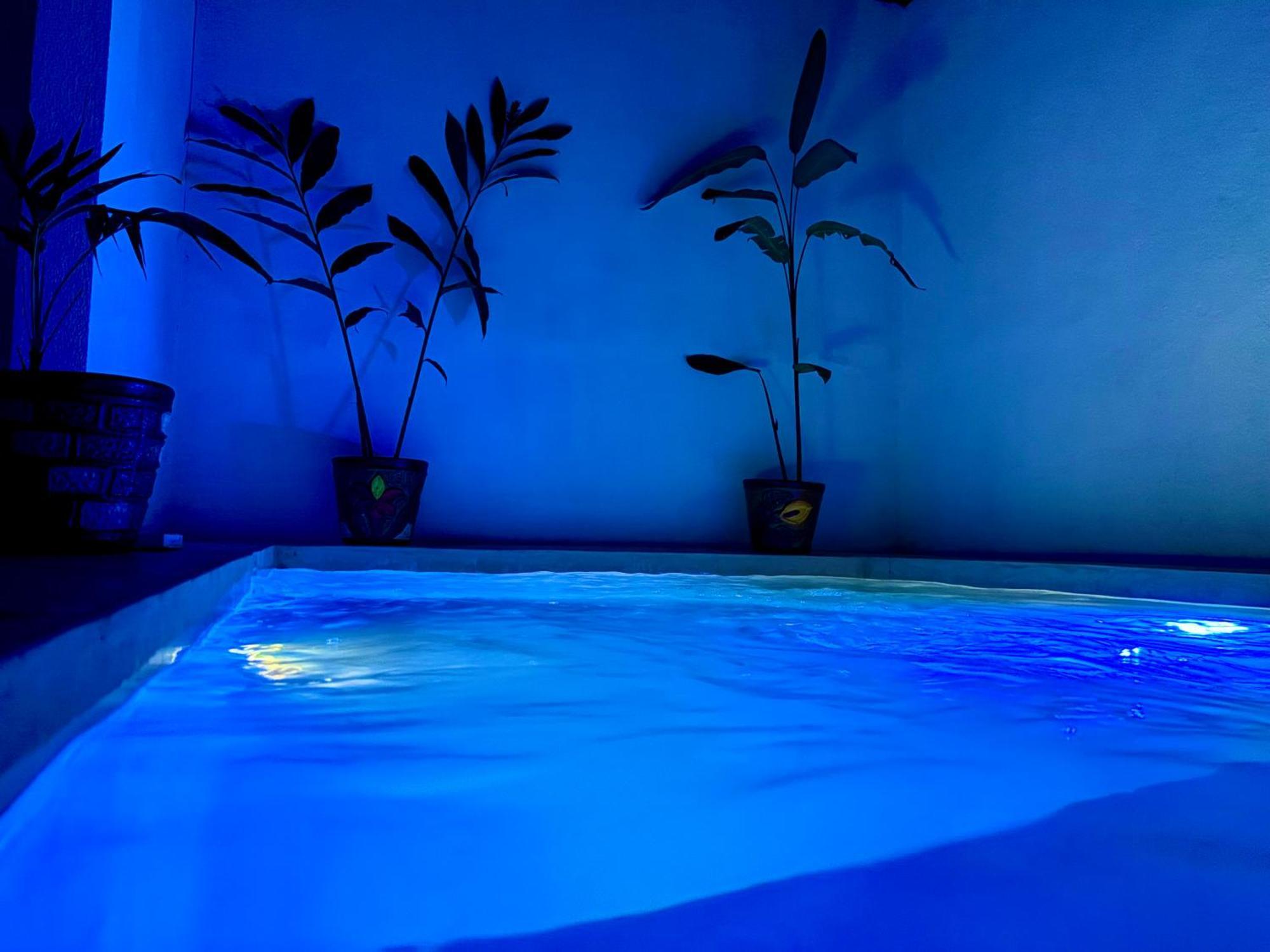 Excelente Alberca Privada En Residencial Privado, Gym, Asador Villa Ciudad Valles Eksteriør bilde