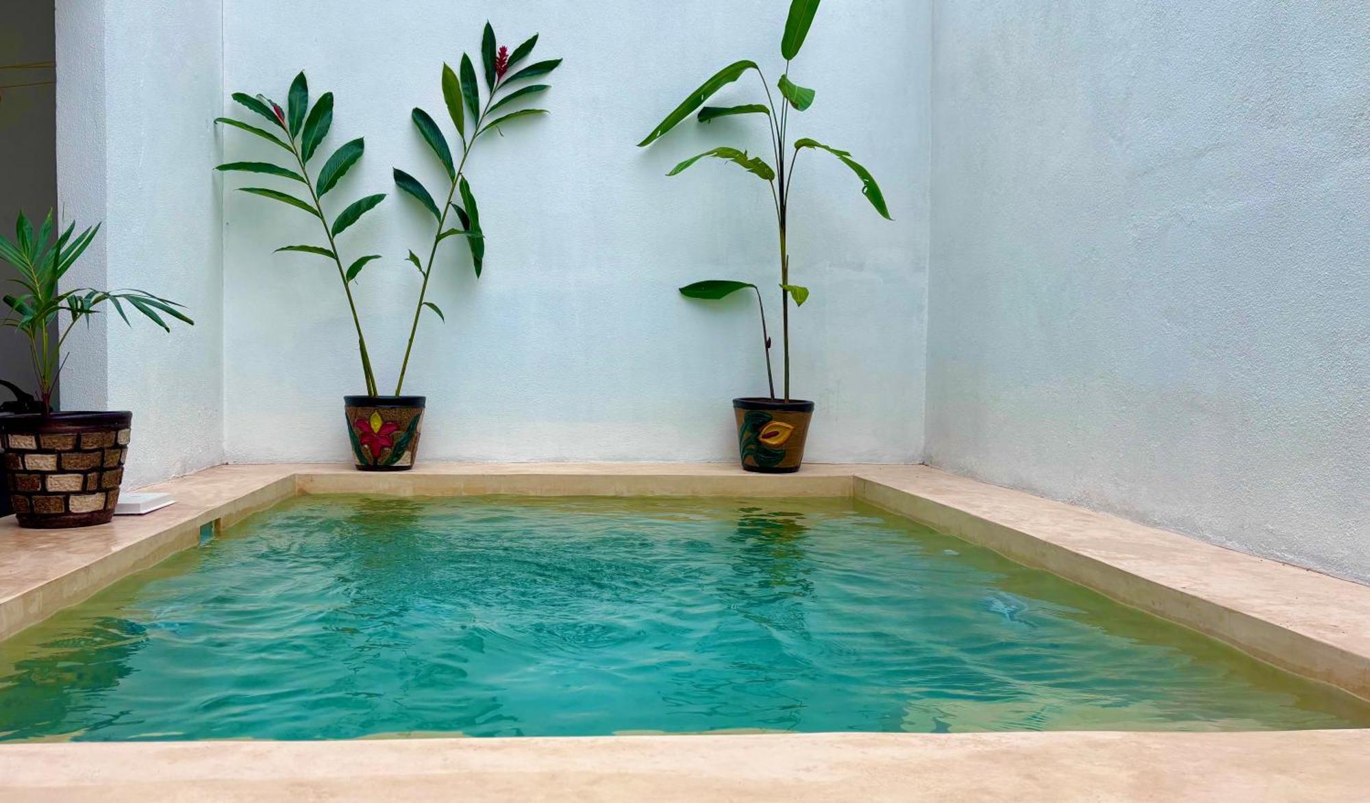 Excelente Alberca Privada En Residencial Privado, Gym, Asador Villa Ciudad Valles Eksteriør bilde